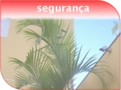 Seguran�a